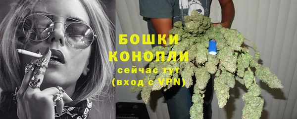 твердый Гусь-Хрустальный