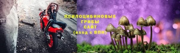 марихуана Гусев