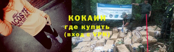 твердый Гусь-Хрустальный