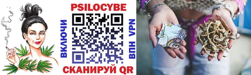 Галлюциногенные грибы Psilocybine cubensis Суджа