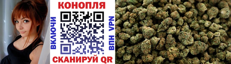 Марихуана VHQ  Купить где  Суджа 